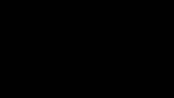 200.gif?cid=fc005b0804eae61e0beb600aabc0cbace84e2e9641222bd8&rid=200.gif&ct=g