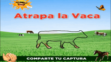 Vaca GIF