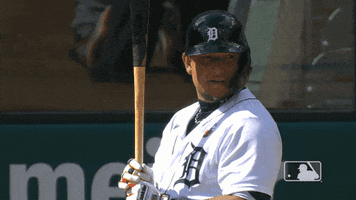 Major League Baseball No GIF by Detroit Tigers