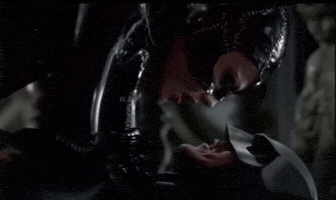 Annabellajolie6 GIF