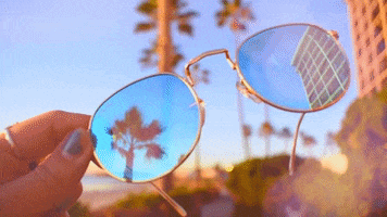 Palm Trees Beach GIF