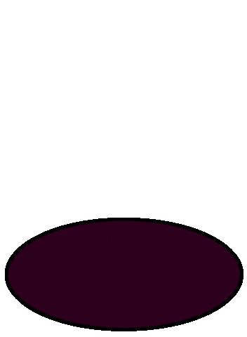 Christian-Albrechts-Universität zu Kiel (CAU) / Kiel University Sticker