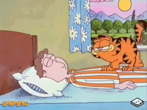 Morning GIFs - Get the best GIF on GIPHY