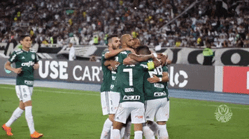 happy felipe melo GIF by SE Palmeiras