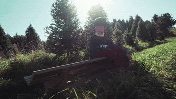 GIF by Birdz