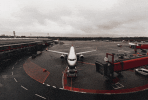 Travel GIF