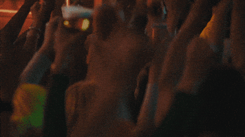 Fans Crowd GIF by Budweiser