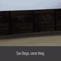 san diego wall GIF by The Daily Signal
