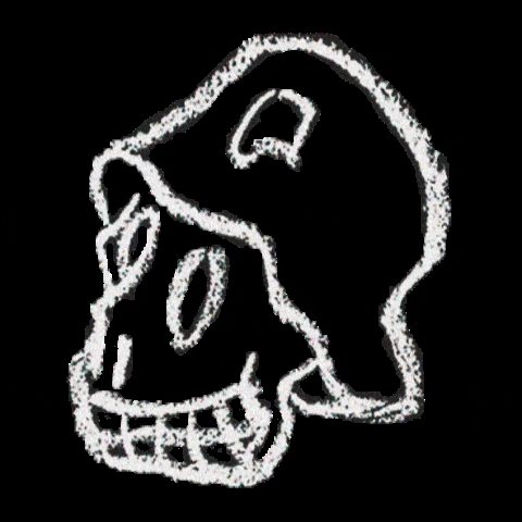 ALTERCOREE skull alternative altercore zibrucom GIF