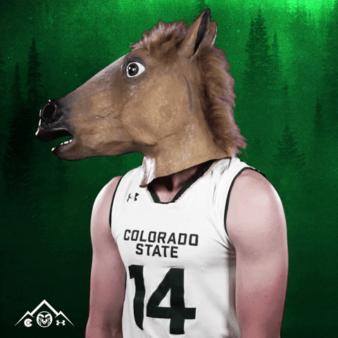 csu rams basketball GIF by Colorado State Rams