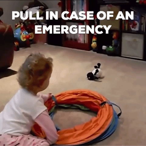 Hide Emergency GIF