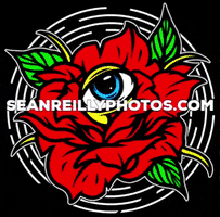 Sean Reilly Photos GIF