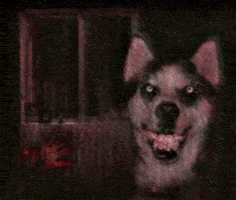 Creepypasta Smiledog GIF