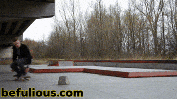 Skate GIF