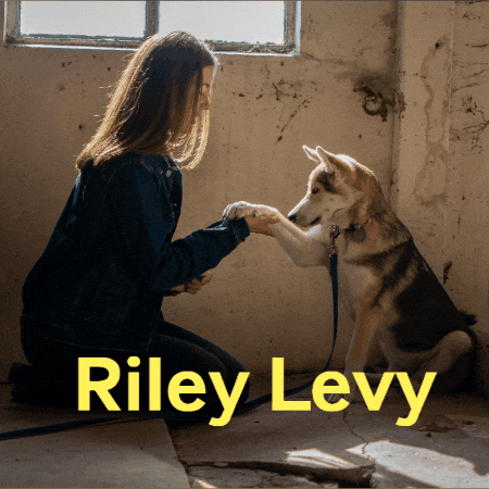 Riley Levy GIF