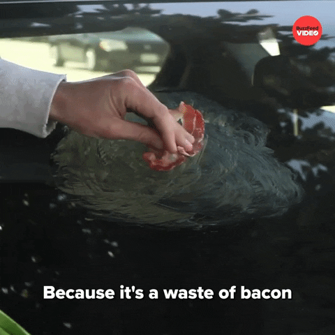 Bacon Grease GIF by BuzzFeed