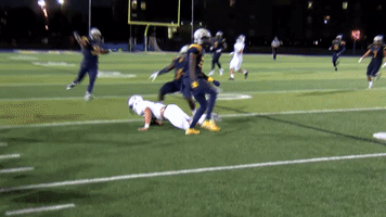 Football Celebrate GIF by Marian University