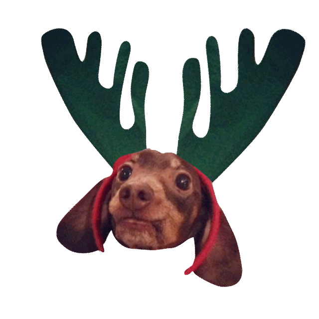 Dog Santa Sticker by beangoods for iOS & Android GIPHY
