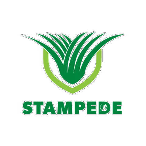 Buffalo Grass Sticker by Lawn Solutions Australia