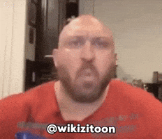 Wikizitoon GIF