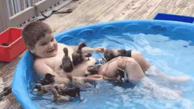 letní bazén GIF