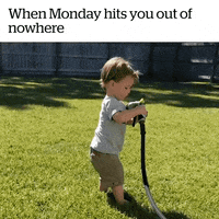 Monday Omg GIF by JustViral