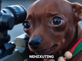 Nehzxuting GIF