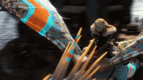 httyd 2 GIF by How To Train Your Dragon