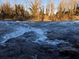 Sommersadvisorsplotaverseexample GIF