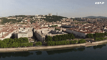 GIF by PIOUCUBE