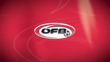 national team logo GIF