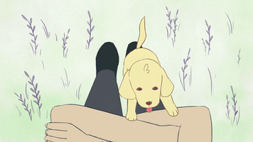 Animated GIF