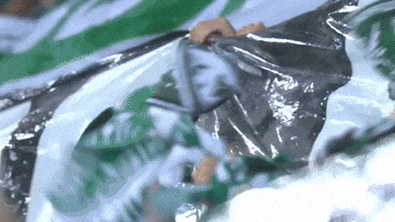 ultra scarf GIF by AS Saint-Etienne