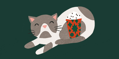 Cat Kitty GIF by Starbucks