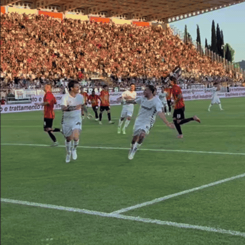 Excited Serie B GIF by Ascoli Calcio 1898