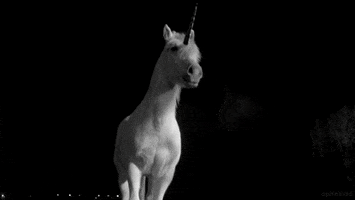 Horse Unicorn GIF