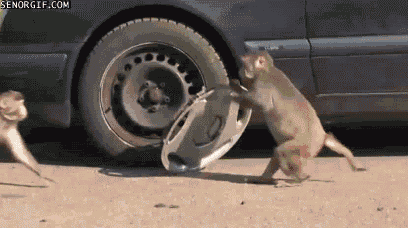 Car Stealing GIF - Find & Share on GIPHY
