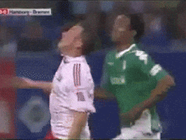 Werder Bremen GIF