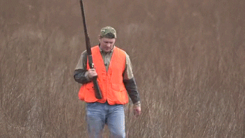 Lovec v oranžové vestě s puškou na louce chytající letícího ptáka do ruky. 