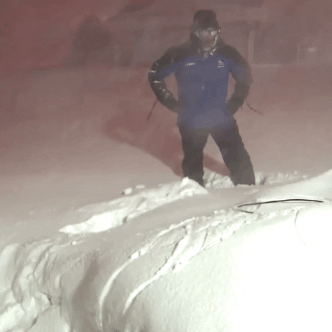 Cold Weather Snow GIF by The Weather Channel - Find & Share on GIPHY