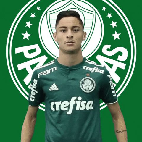 diogo barbosa ok GIF by SE Palmeiras