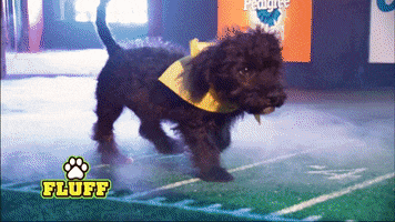 puppy bowl pie GIF by Animal Planet