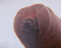 200.gif