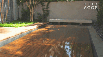 pool deck GIF by Daily Mail Online