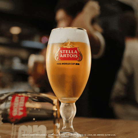 Fifa World Cup Soccer GIF by Stella Artois