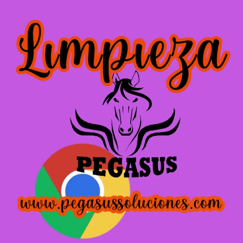 Web Empresa GIF by Pegasus Soluciones