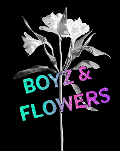 Boyzandflowers flowers boyz boyzandflowers GIF
