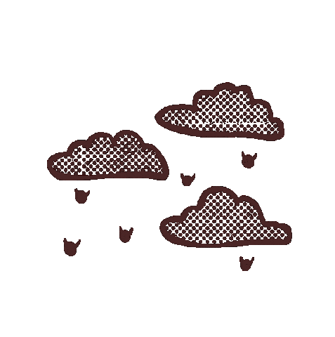 Rain Sticker
