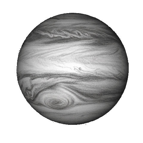 Miami No Sticker by lenay