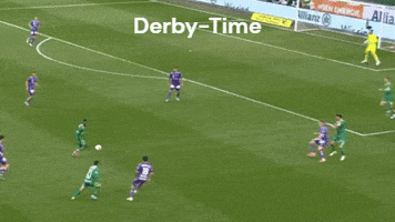 Rapid Wien Derby GIF